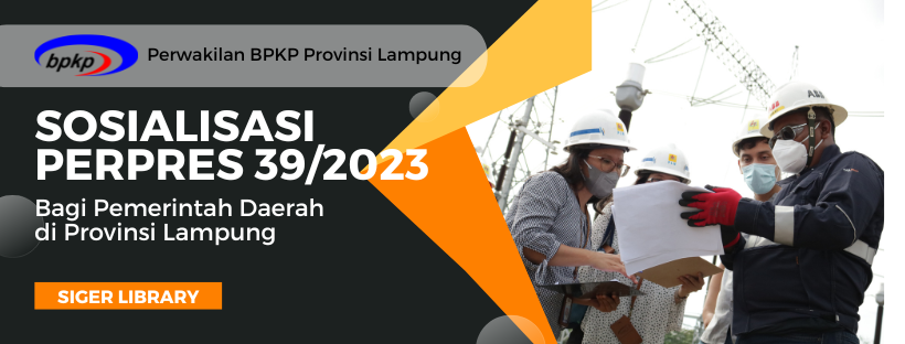 Sosialisasi Perpres Nomor 39 Tahun 2023 tentang MRPN kepada Pemerintah Daerah